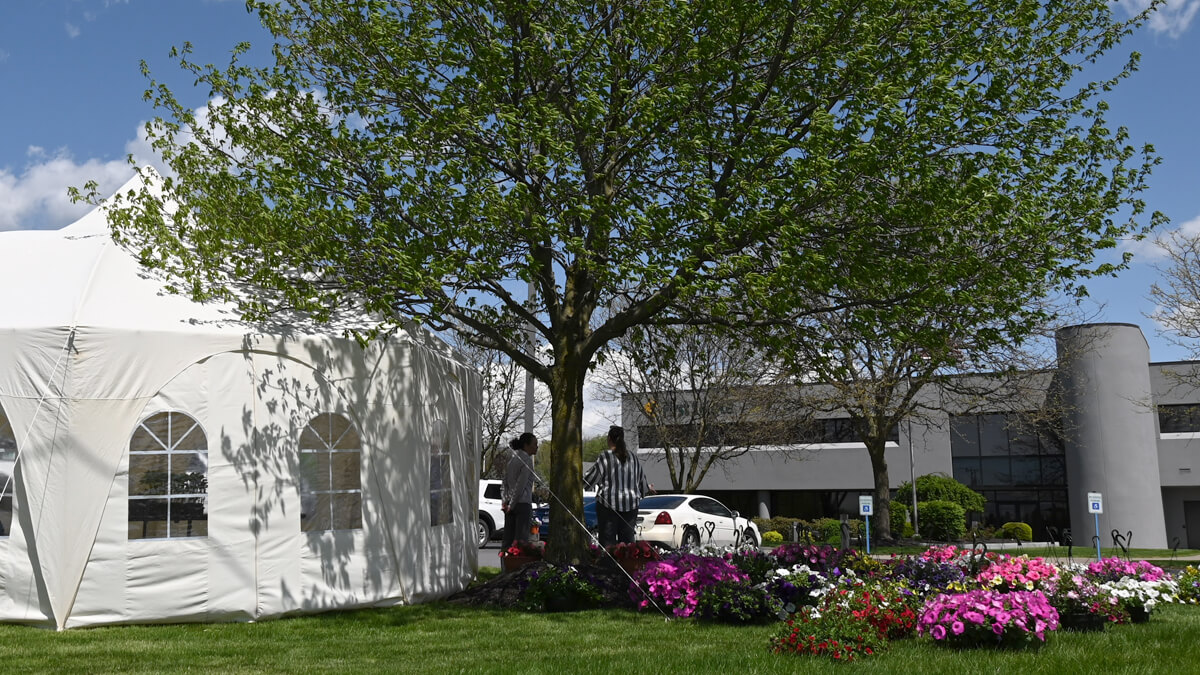 Tent and flowers